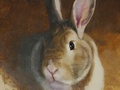 A sketch portrait of rabbit HB done in oil on linen panel